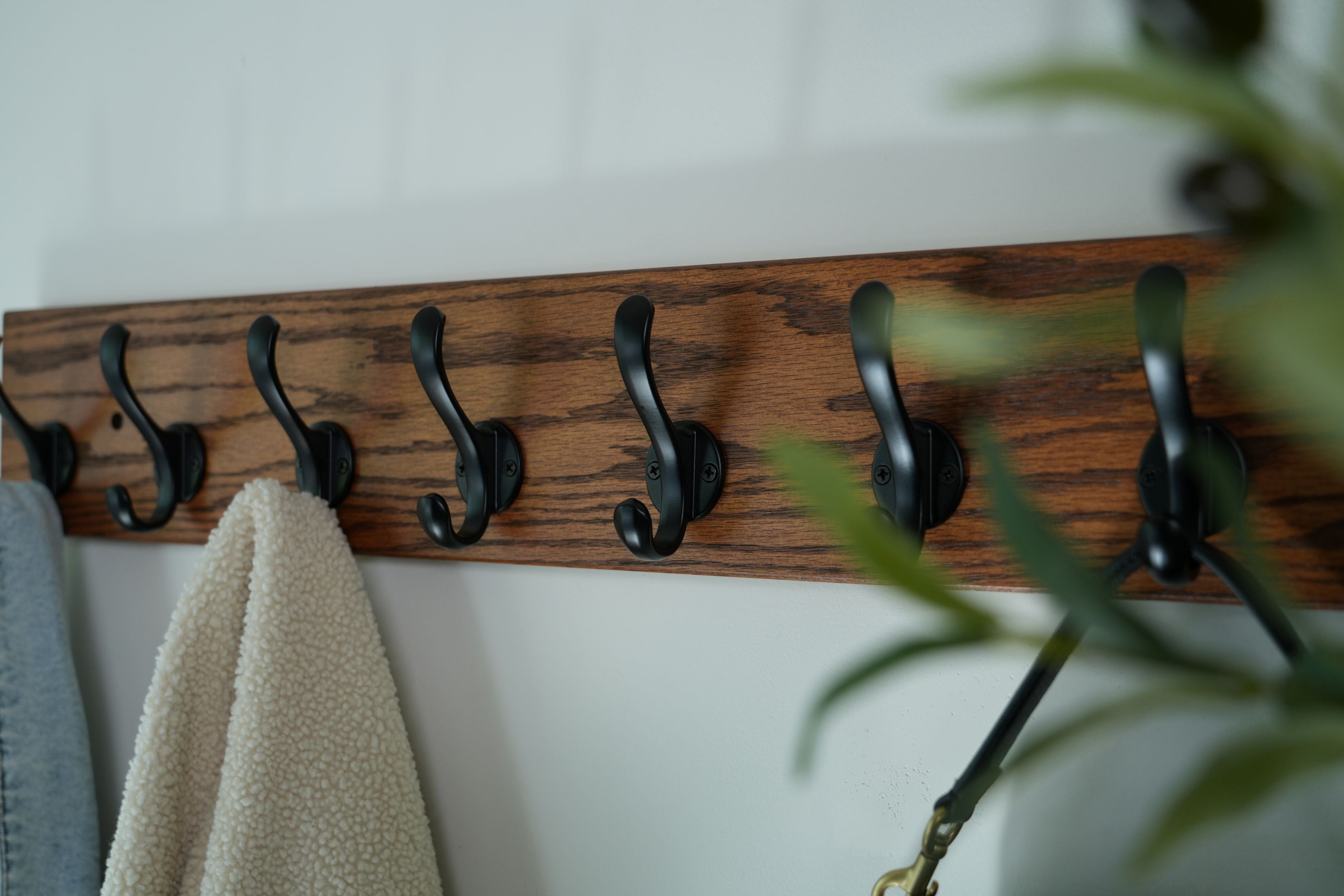 Wooden hook rack with black hooks on a white wall, with a plant in the foreground.