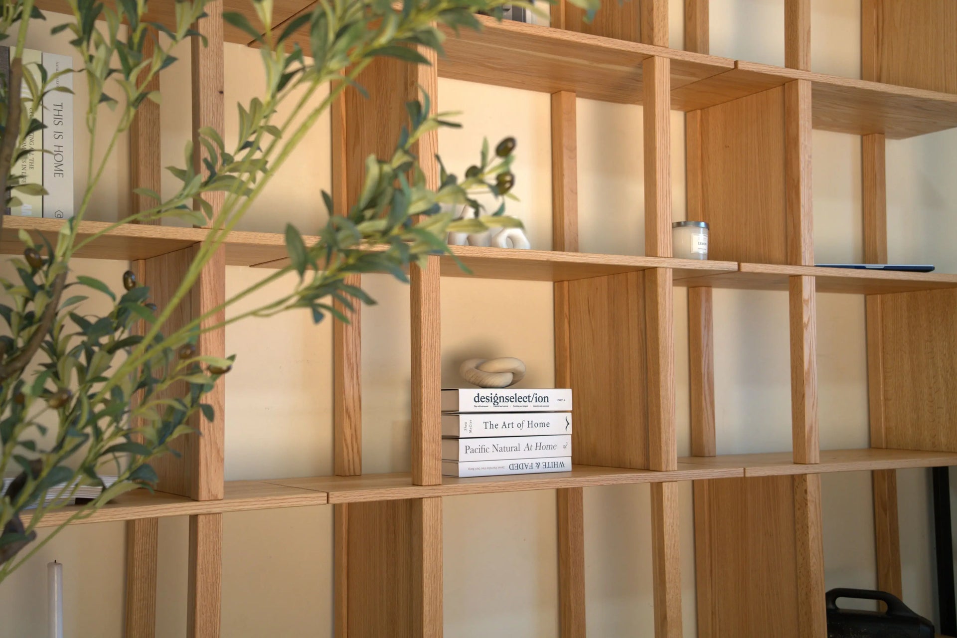 Wooden bookshelf with books and decorative items, featuring a plant in the foreground.